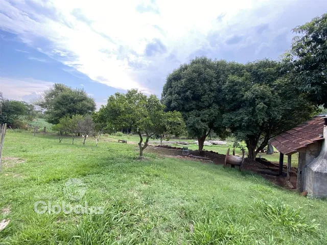 Campo verde com árvores e uma estrutura rústica na propriedade.