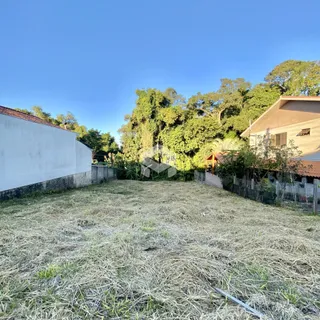 Vista externa de um terreno com grama seca e vegetação densa
