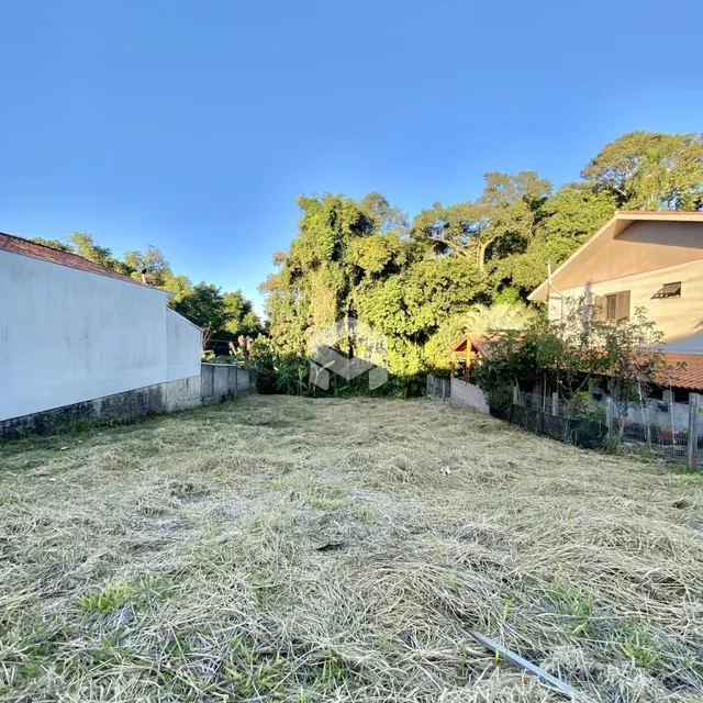 Vista externa de um terreno com grama seca e vegetação densa