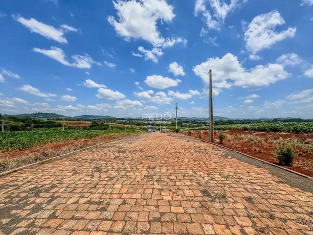 Vista panorâmica de um caminho de tijolos em uma paisagem rural.