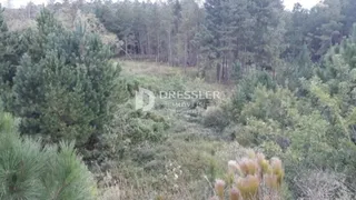 Terreno, foto 2