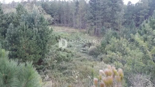 Terreno, foto 2