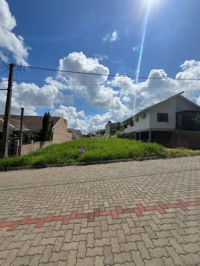 Terreno, foto 3