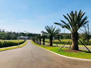Terreno, foto 15