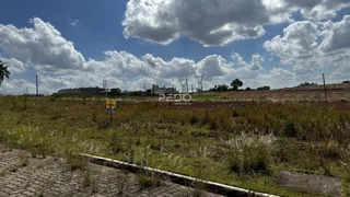 Paisagem de campo com vegetação seca e terra no primeiro plano.