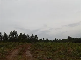 Terreno, foto 6