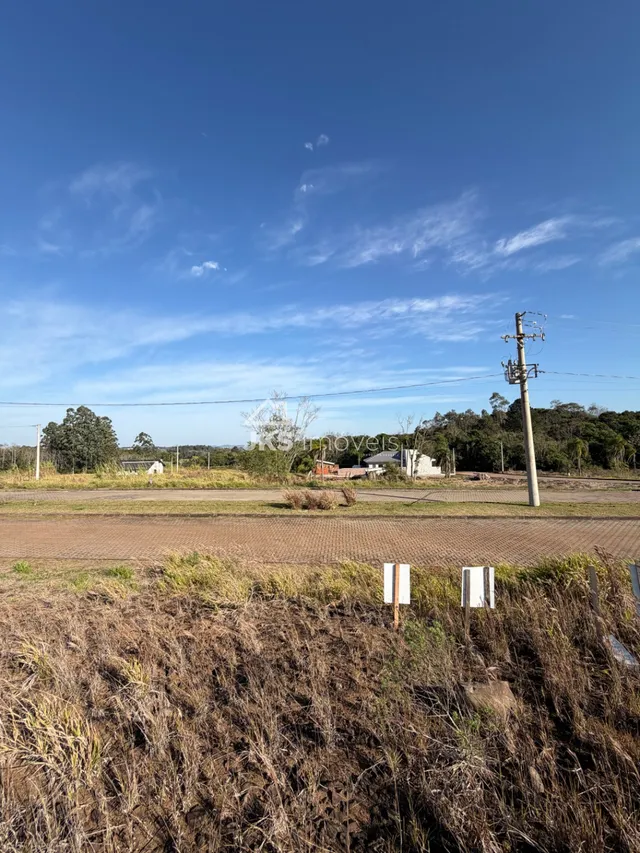 Terreno, foto 2