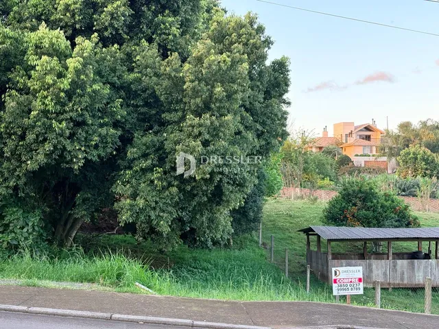 Terreno, foto 2