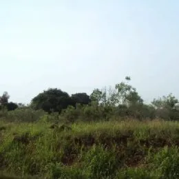 Área rural, foto 3