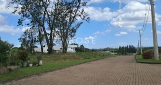 Terreno, foto 7