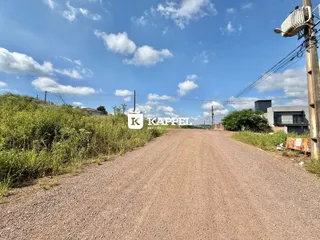 Vista externa de uma estrada de terra com vegetação densa e um edifício ao fundo.