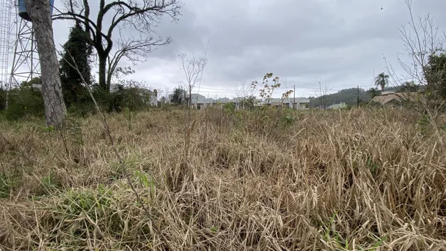Terreno, foto 4