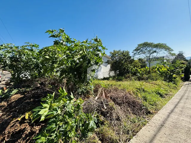 A fachada da propriedade está cercada por vegetação densa e há uma estrada ao lado.