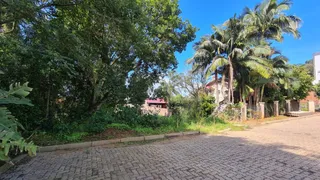 Vista externa da propriedade com vegetação densa e pavimento de tijolos.