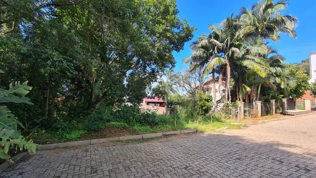 Vista externa da propriedade com vegetação densa e pavimento de tijolos.
