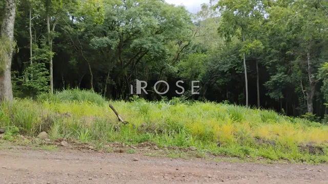 Área rural, foto 3