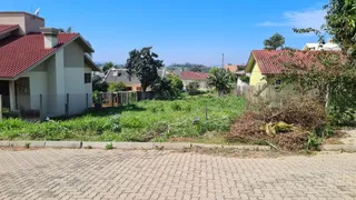 Vista externa de um terreno com vegetação verde.
