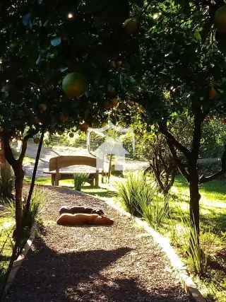 Área rural com 3 dormitórios, foto 45
