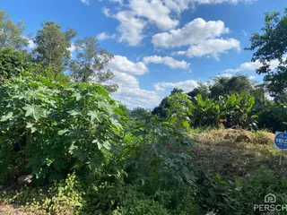 Área rural, foto 5