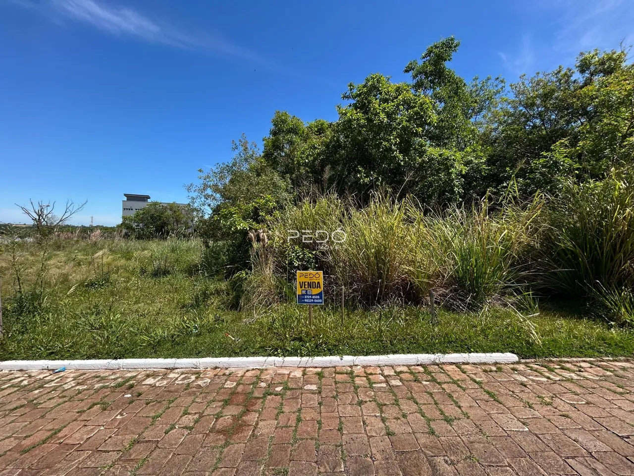 Vista externa de uma propriedade com vegetação densa e um caminho de tijolos.