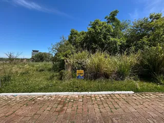 Vista externa de uma propriedade com vegetação densa e um caminho de tijolos.