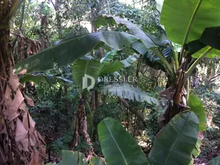 Área rural, foto 8