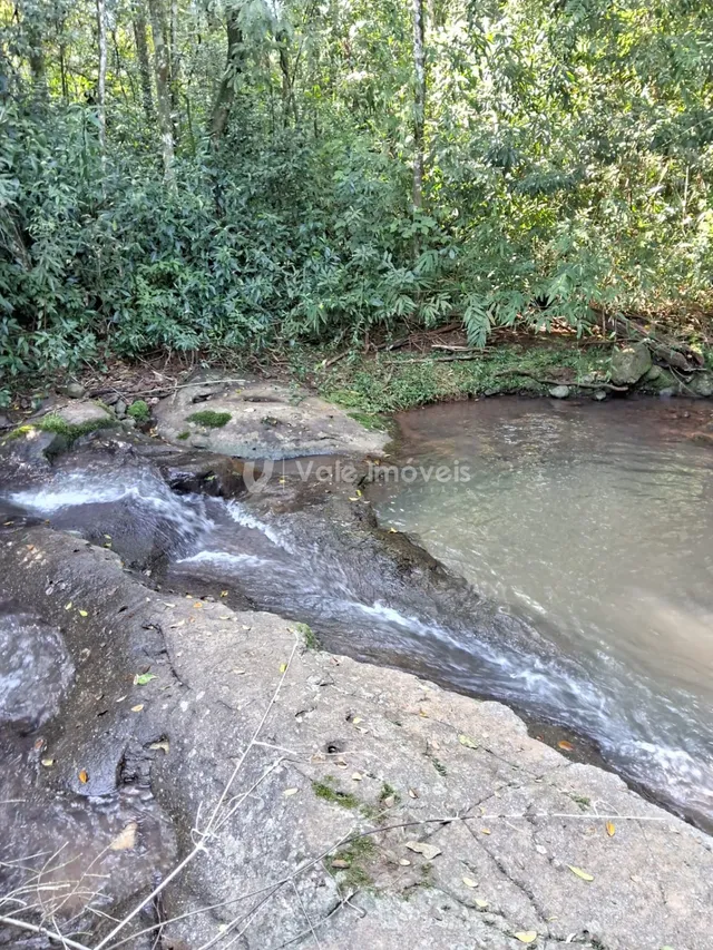 Área rural