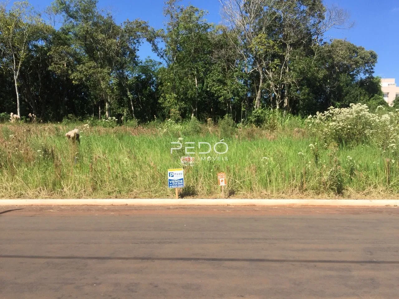 Terreno, foto 1