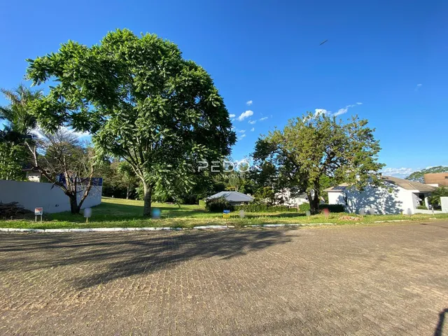 Terreno, foto 2