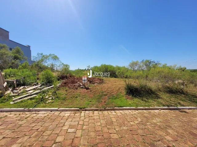 Vista externa de terreno com vegetação seca e piso de tijolos.