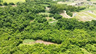 Vista aérea de uma área de mata densa e campos abertos.