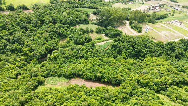 Vista aérea de uma área de mata densa e campos abertos.