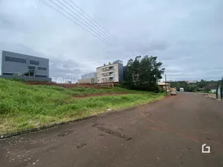 Vista externa da propriedade com vegetação e uma estrada de terra.