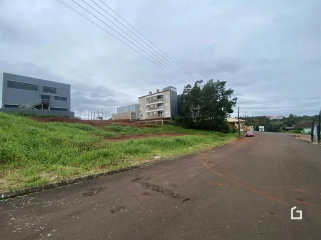 Vista externa da propriedade com vegetação e uma estrada de terra.