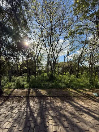Terreno, foto 6