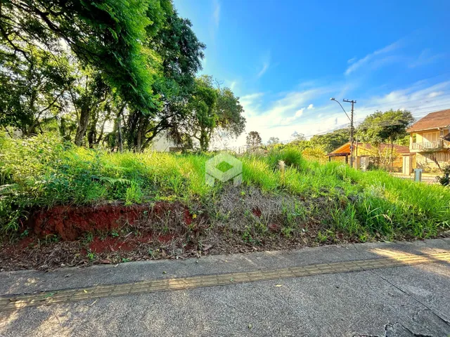 Terreno, foto 3