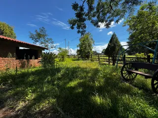 Vista externa de um campo gramado com cerca e árvores.