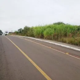Vista de uma estrada asfaltada com vegetação alta ao lado.