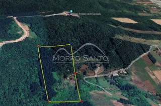 Vista aérea de uma área de mata e terrenos rurais na região de Lajeado.