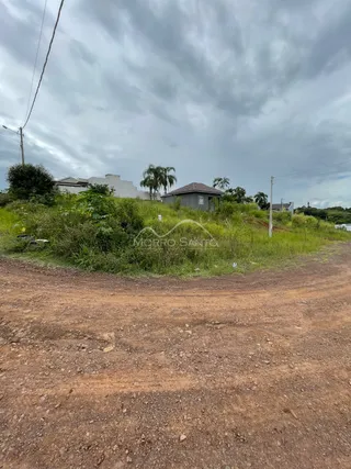 Terreno, foto 3