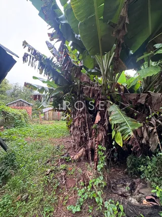 Área rural, foto 12