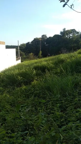 Terreno, foto 2