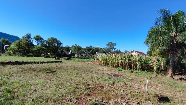 Vista de um terreno aberto com vegetação e árvores em Lajeado, Brasil.