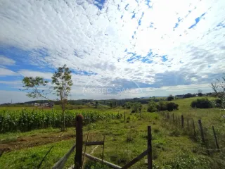 Área rural, foto 3