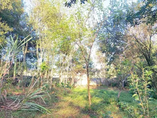 Área rural, foto 8