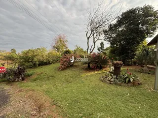 Gramado com vegetação densa e árvores no fundo.
