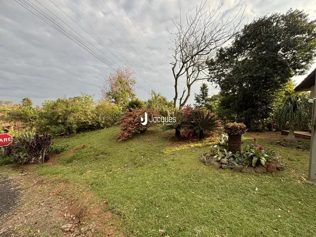 Gramado com vegetação densa e árvores no fundo.