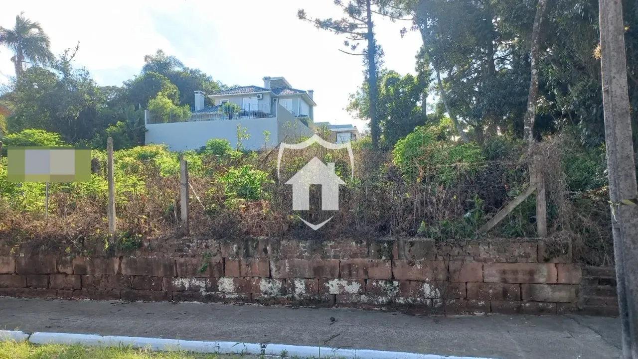 Terreno, foto 1