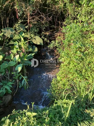 Área rural, foto 7