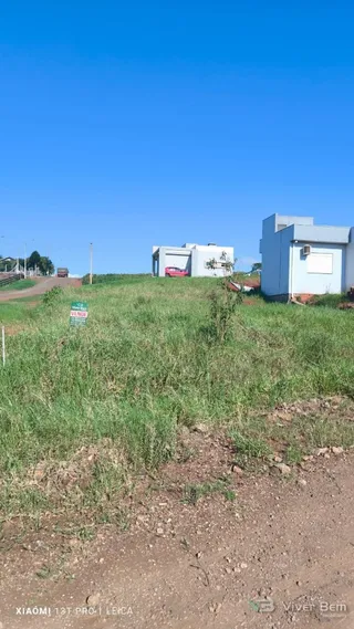 Terreno, foto 5